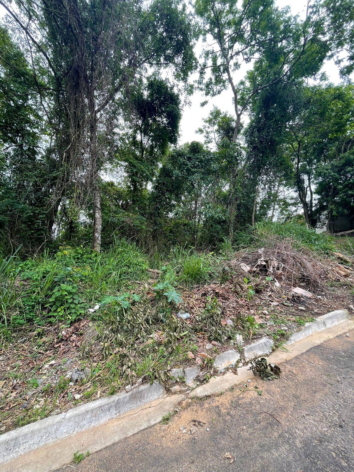 #569 - Área para Venda em Santana de Parnaíba - SP
