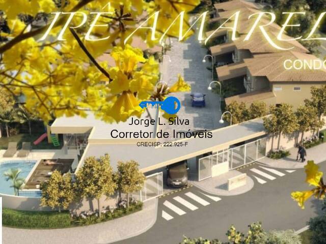 Ipês Amarelo